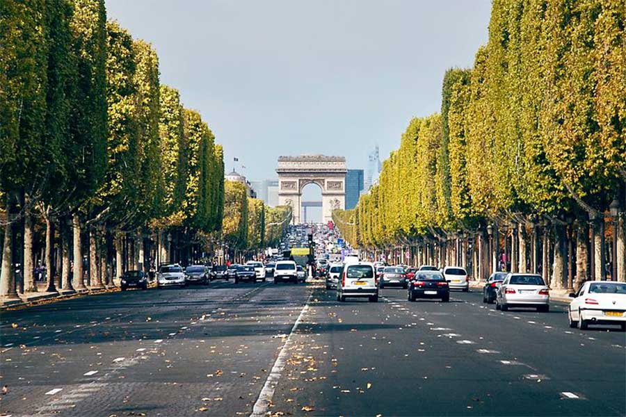 Avenue Des Champs Elysees