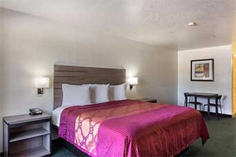 OYO Inn & Suites Medical Center San Antonio