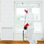 Ultimate Guide To Termite Treatment In Anaheim: What Homeowners Need To Know