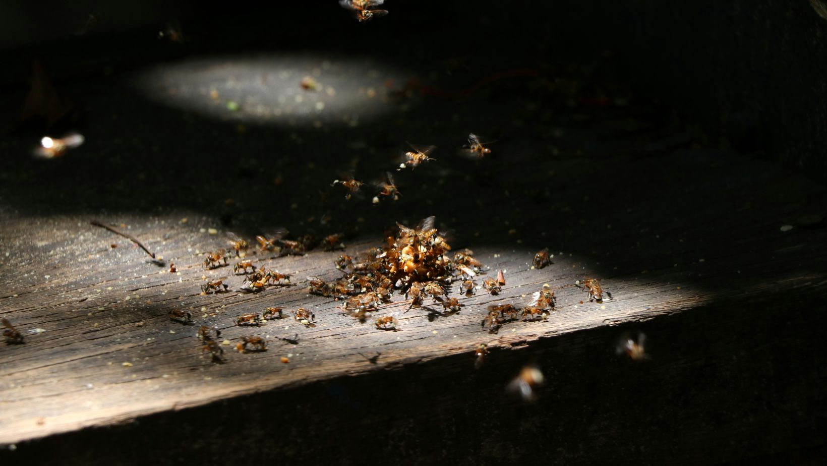 Image3